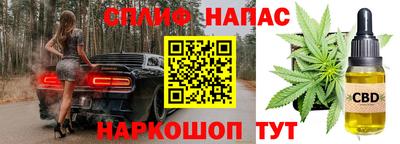 тгк Будённовск